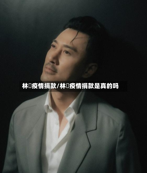 林峯疫情捐款/林峯疫情捐款是真的吗