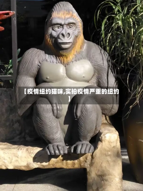 【疫情纽约猫咪,实拍疫情严重的纽约】