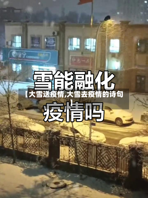 【大雪送疫情,大雪去疫情的诗句】