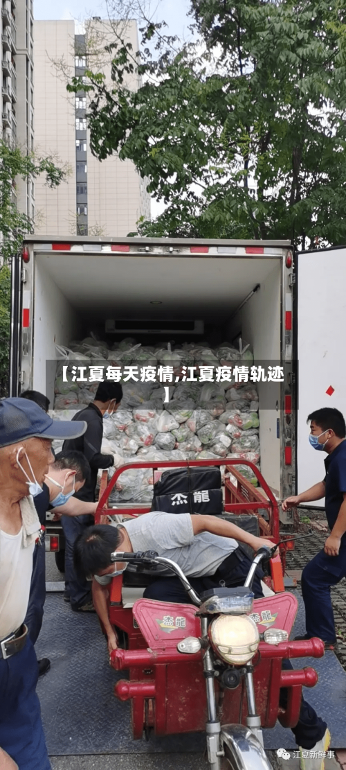 【江夏每天疫情,江夏疫情轨迹】