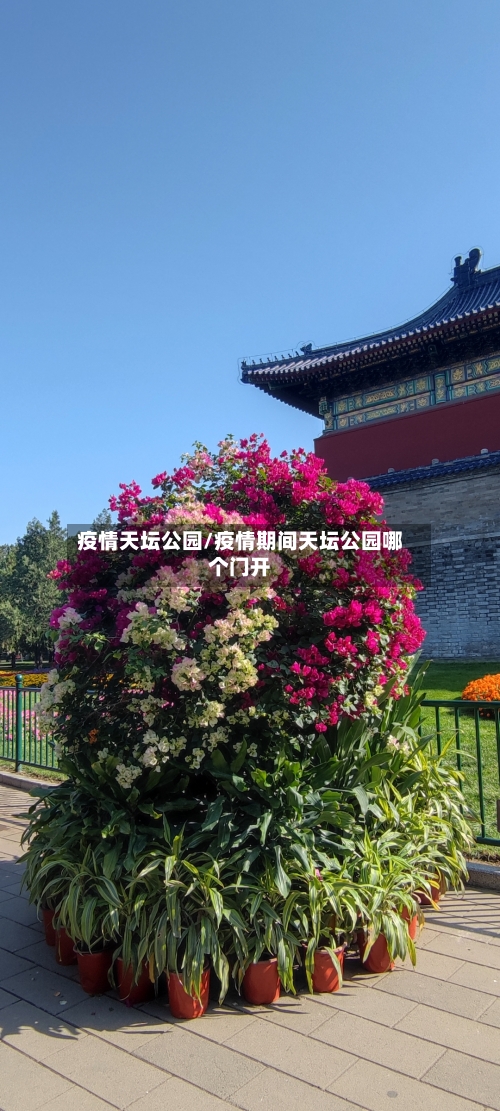 疫情天坛公园/疫情期间天坛公园哪个门开