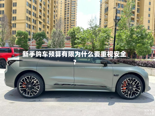 新手购车预算有限为什么要重视安全？