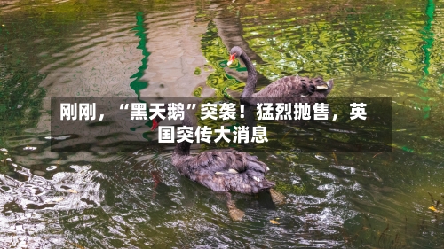 刚刚，“黑天鹅”突袭！猛烈抛售，英国突传大消息