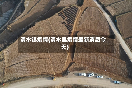 清水镇疫情(清水县疫情最新消息今天)