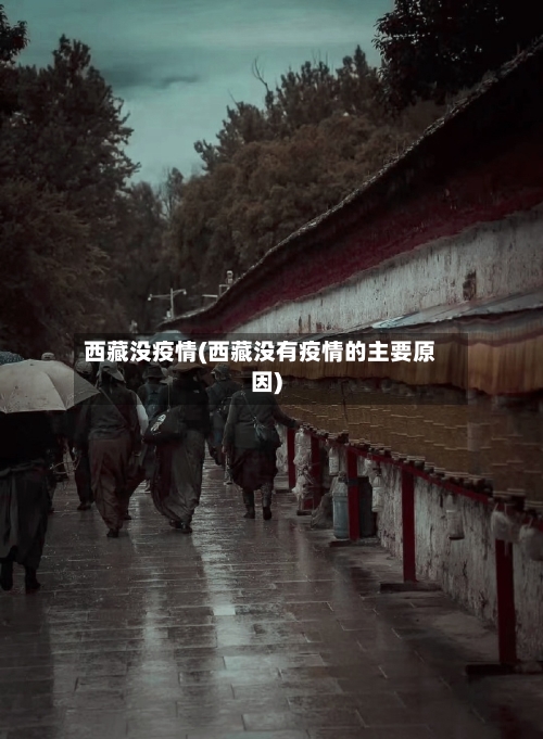 西藏没疫情(西藏没有疫情的主要原因)