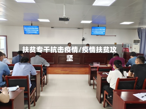 扶贫专干抗击疫情/疫情扶贫攻坚
