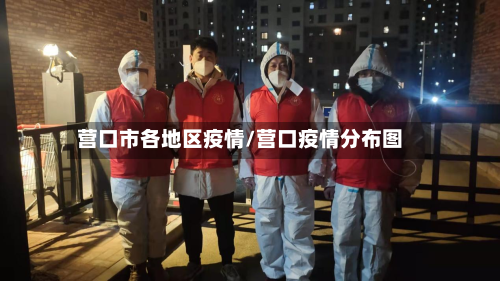 营口市各地区疫情/营口疫情分布图