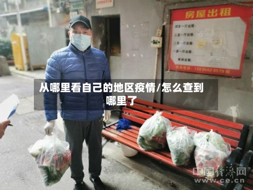 从哪里看自己的地区疫情/怎么查到哪里了