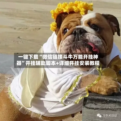 一键下载“微信链接斗牛万能开挂神器”开挂辅助脚本+详细开挂安装教程
