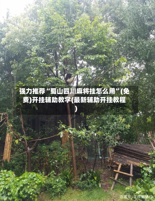强力推荐“蜀山四川麻将挂怎么用”(免费)开挂辅助教学(最新辅助开挂教程)