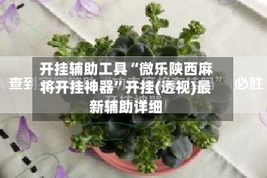 开挂辅助工具“微乐陕西麻将开挂神器”开挂(透视)最新辅助详细