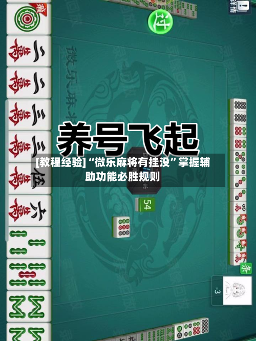 [教程经验]“微乐麻将有挂没”掌握辅助功能必胜规则
