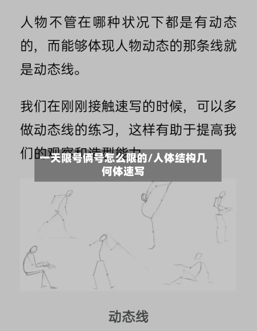 一天限号俩号怎么限的/人体结构几何体速写