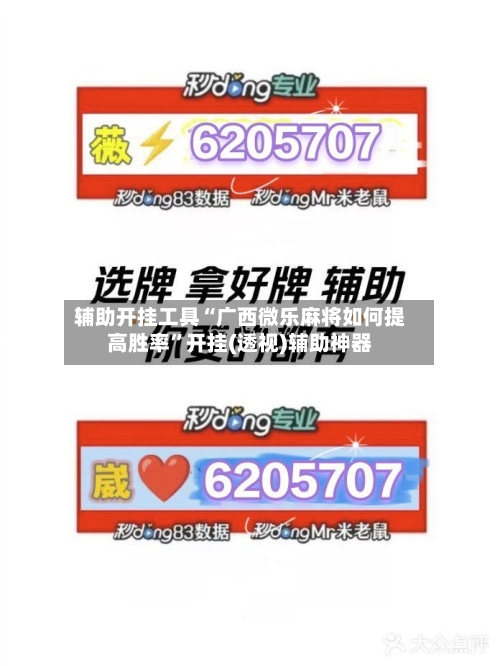 辅助开挂工具“广西微乐麻将如何提高胜率”开挂(透视)辅助神器