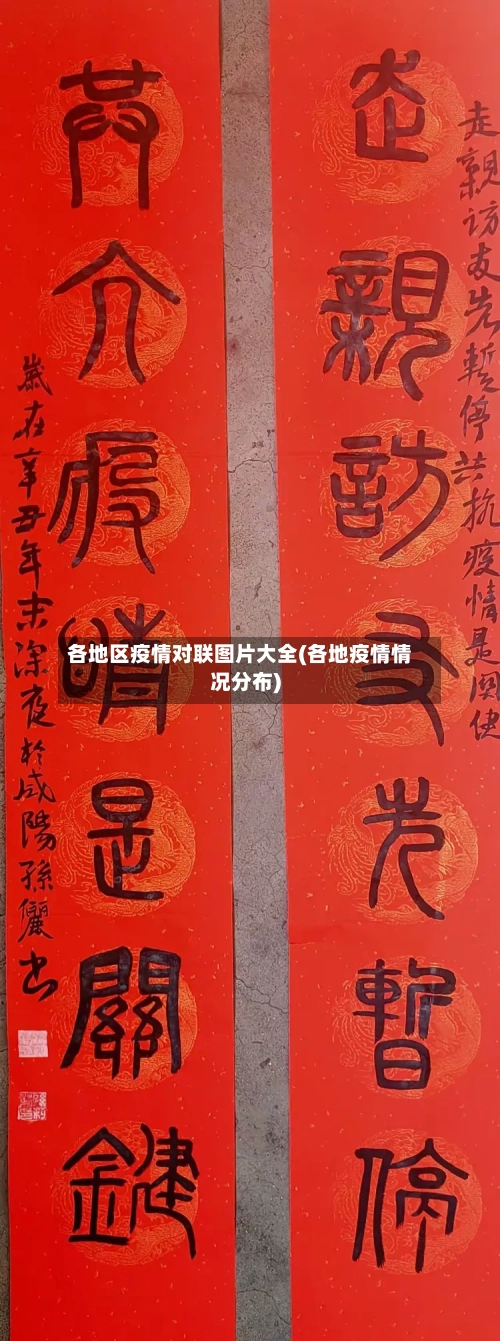 各地区疫情对联图片大全(各地疫情情况分布)