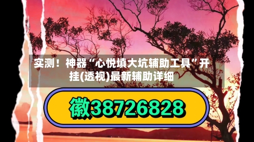 实测！神器“心悦填大坑辅助工具”开挂(透视)最新辅助详细