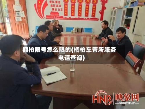 桐柏限号怎么限的(桐柏车管所服务电话查询)