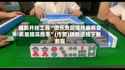 辅助开挂工具“微乐贵阳捉鸡麻将会员能提高胜率”(作弊)辅助透视下载教程