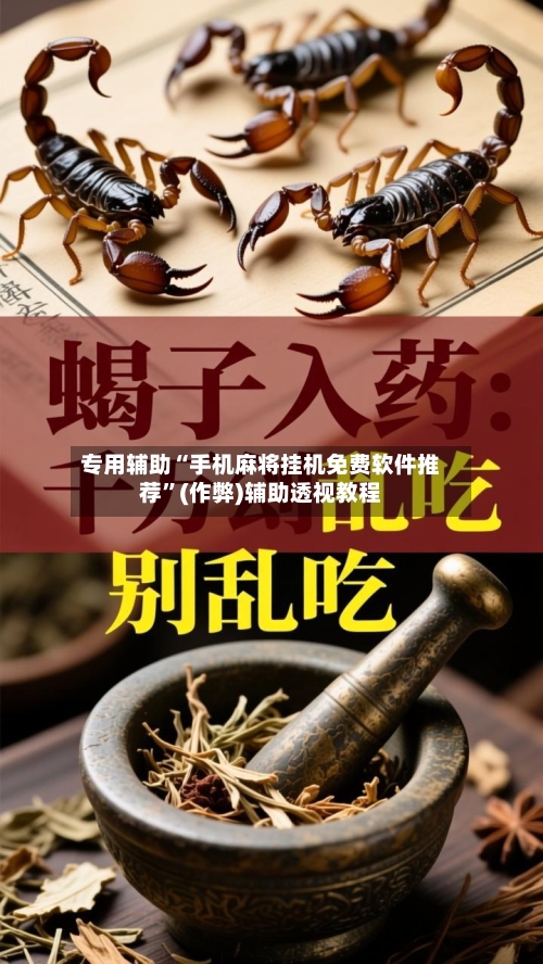 专用辅助“手机麻将挂机免费软件推荐”(作弊)辅助透视教程