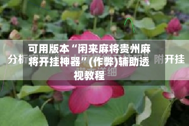 可用版本“闲来麻将贵州麻将开挂神器”(作弊)辅助透视教程