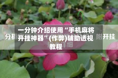 一分钟介绍使用“手机麻将开挂神器”(作弊)辅助透视教程