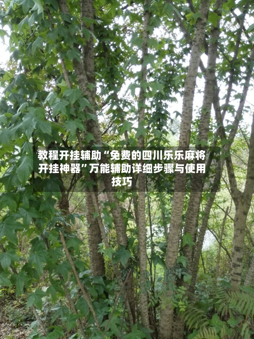 教程开挂辅助“免费的四川乐乐麻将开挂神器”万能辅助详细步骤与使用技巧