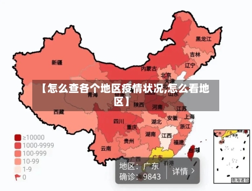 【怎么查各个地区疫情状况,怎么看地区】