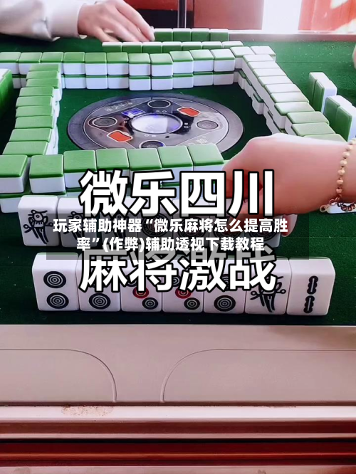 玩家辅助神器“微乐麻将怎么提高胜率”(作弊)辅助透视下载教程