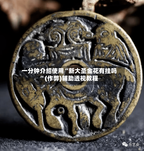 一分钟介绍使用“新大圣金花有挂吗”(作弊)辅助透视教程