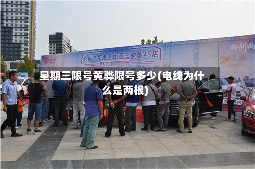 星期三限号黄骅限号多少(电线为什么是两根)