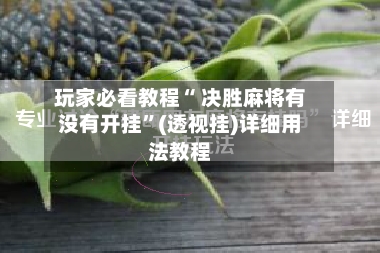 玩家必看教程“ 决胜麻将有没有开挂”(透视挂)详细用法教程