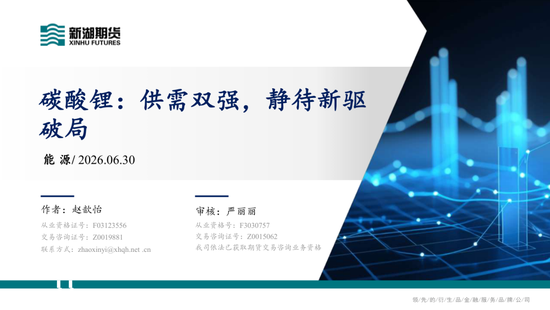 碳酸锂半年报：供需双强，静待新驱破局